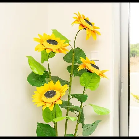 Protaras The Icon 001 At Mythical Seas Apartament Paralimni